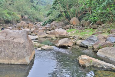 TSO Kung tam Hong Kong su havuzu