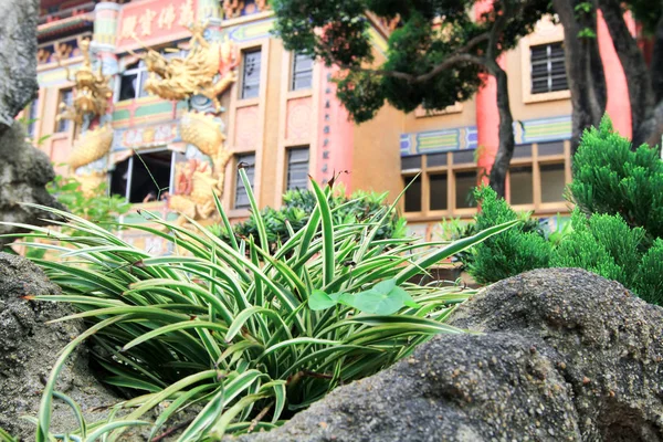 Miu Fat Buddistin luostari Hongkongissa — kuvapankkivalokuva