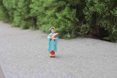 Japon geyşa bebek kültür ve tesiste üzerinde outsoorl