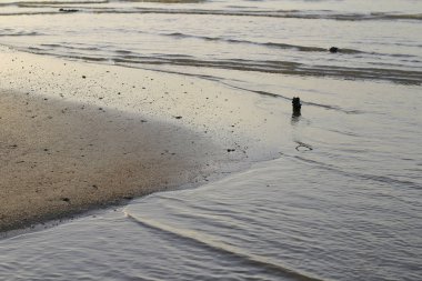 Ha pak nai hong kong'da gün batımı plajı 