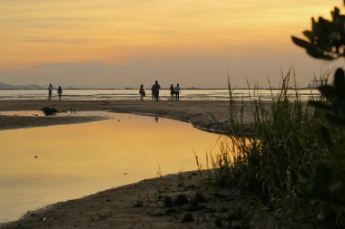 Ha Pak Nai 2014'te Sunet