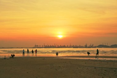  Kumlu plaj turuncu renk, Ha Pak Nai vardır