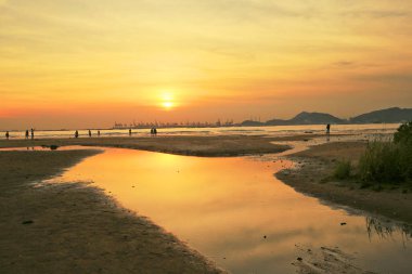  Kumlu plaj turuncu renk, Ha Pak Nai vardır