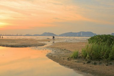  Kumlu plaj turuncu renk, Ha Pak Nai vardır
