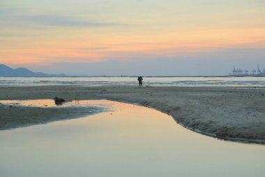  Kumlu plaj renkli, Ha Pak Nai vardır