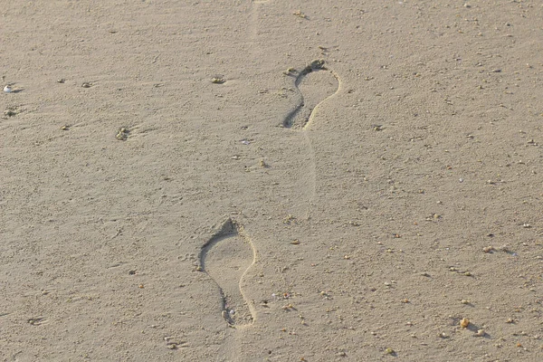 A stopy v písku při západu slunce. Nádherná písečná — Stock fotografie