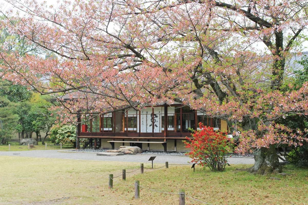 Шосей сад в Японії — стокове фото