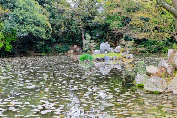 Shosei en jardin au Japon — Photo