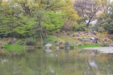 japonya'da shosei en bahçe