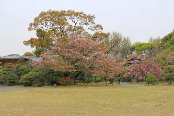 Shosei en garden en japan —  Fotos de Stock