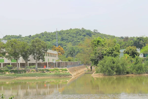 Estanque de lagos en verano, pacífico paisaje noruego —  Fotos de Stock