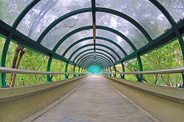 hong kong ayak köprü 