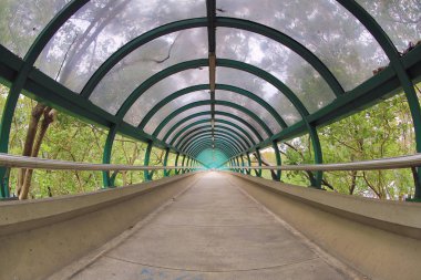 hong kong ayak köprü 