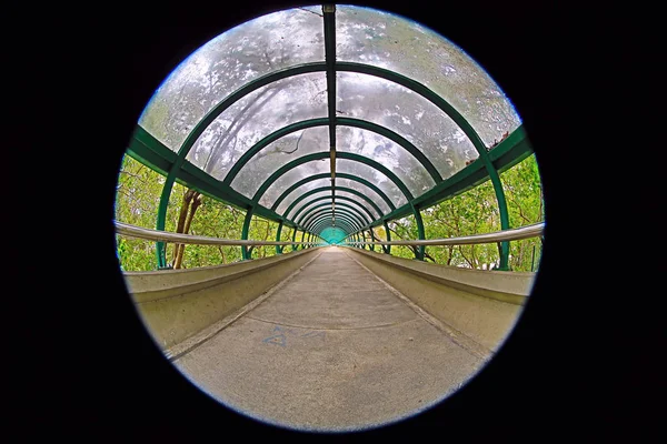 Puente de pie en Hong Kong —  Fotos de Stock