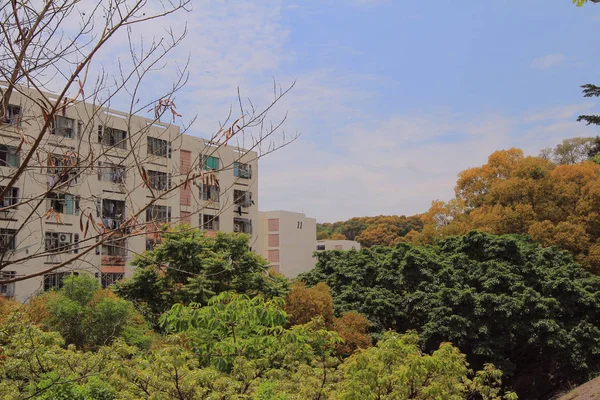 3 de mayo de 2014, edificio público Pak Tin — Foto de Stock