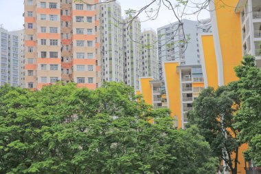 Kamu Evi Ming Wah Dai Ha