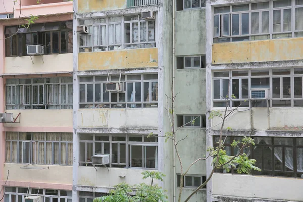 Kamu Evi Ming Wah Dai Ha