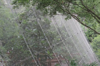 Yazın HK parkında Youde Kuşhanesi