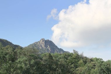 Beacon Hill hong kong doğa görünümü 