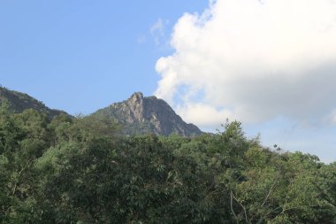 Beacon Hill hong kong doğa görünümü 