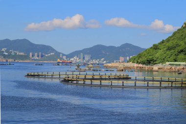 23 Ağu 2014 Pichic Bay Hong Kong