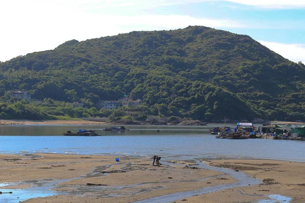 23 ago 2014 natura a Lamma Island — Foto Stock