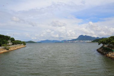 Tai Po Kıyı Şeridi