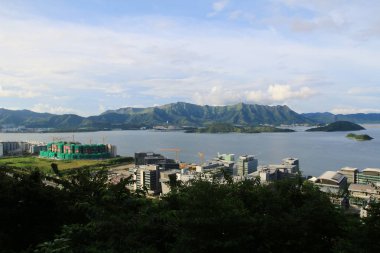  Tolo liman manzara Hong Kong, Tai Po