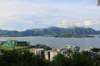  Tolo liman manzara Hong Kong, Tai Po