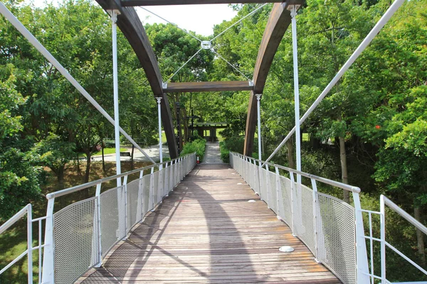 Wooden foot bridge in national park