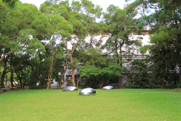 Hk에서 공공 공원에서 신선한 녹색 잔디 — 스톡 사진
