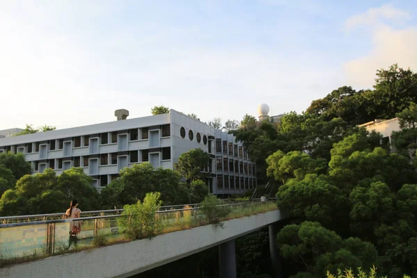 Chinese University of Hong Kong — Stockfoto