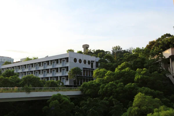 Chinese Universiteit van Hongkong — Stockfoto