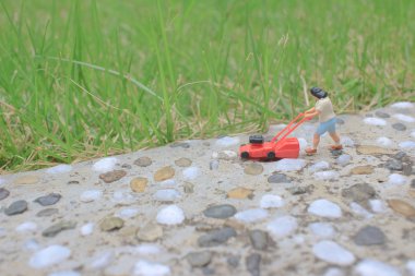 itme çim biçme makinesi biçme bahçesi kullanarak mini rakam