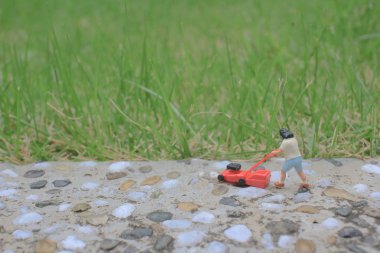 itme çim biçme makinesi biçme bahçesi kullanarak mini rakam