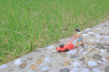 itme çim biçme makinesi biçme bahçesi kullanarak mini rakam