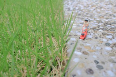 itme çim biçme makinesi biçme bahçesi kullanarak mini rakam