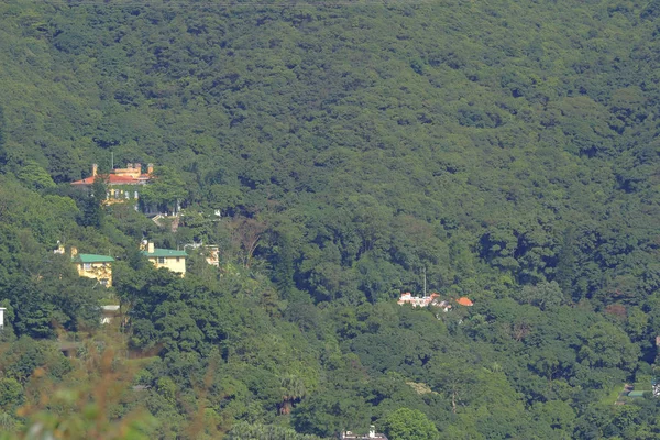 La naturaleza en hk 28 junio 2014 — Foto de Stock