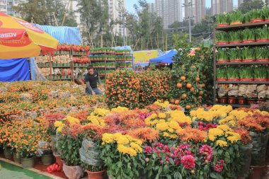 Ay yeni yıl kwun tong adil 