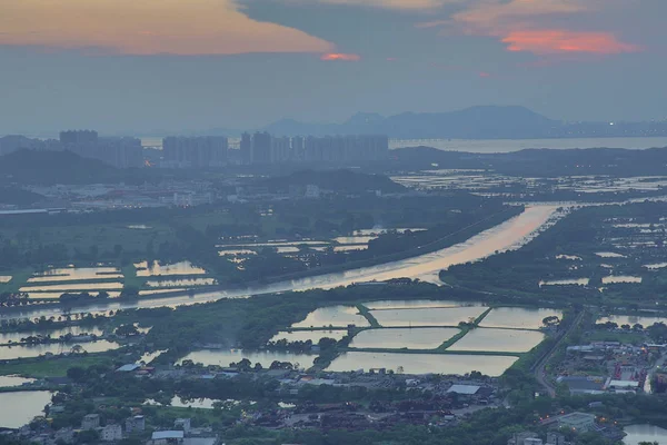 Yuen Long district, highway and paddy field rice — Stock Photo, Image