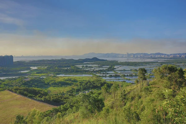 Yuen Long, Hong Kong 1 June 2014 — Φωτογραφία Αρχείου