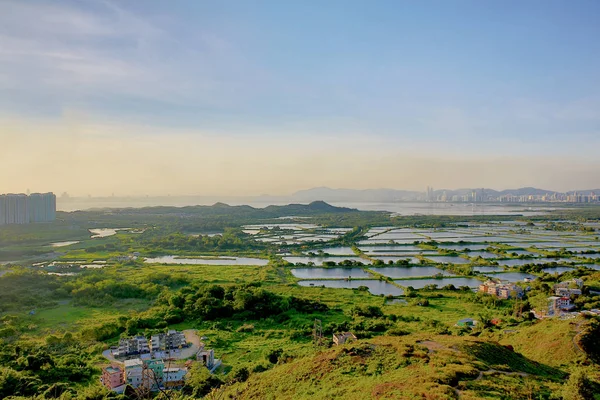 Piscine de poissons à Yuen Long 1 Juin 2014 — Photo