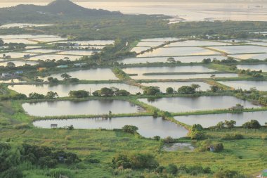 AR Kai Shan, Yuen uzun, Hong Kong