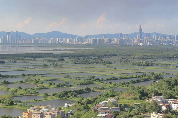 香港元朗青山 — 图库照片