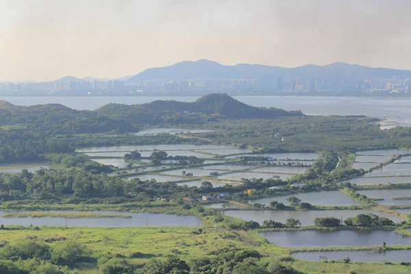 香港元朗2014年6月1日 — 图库照片