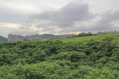 22 Haziran 2014 Tseung Kwan O çöp sahası 