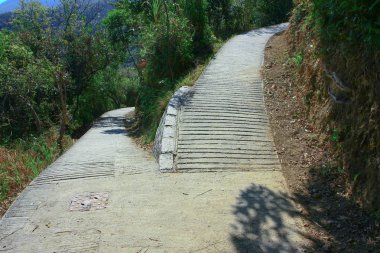 1 Jan 2009 MacLeod hortum kuyruk Hong Kong