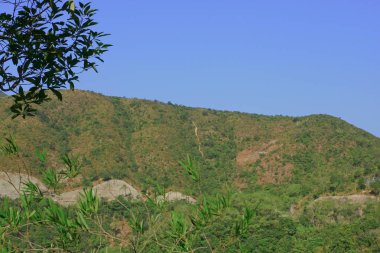 1 Jan 2009 MacLeod hortum kuyruk Hong Kong