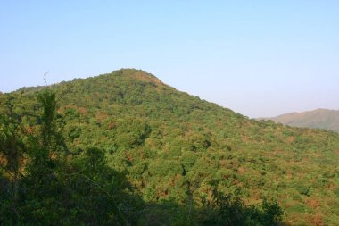 1 Jan 2009 MacLeod hortum kuyruk Hong Kong