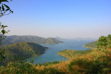 1 Jan 2009 MacLeod hortum kuyruk Hong Kong